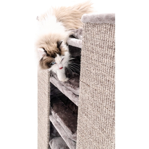 PETREBELS CHAMPIONS Only Pillar 117 Cappuccino