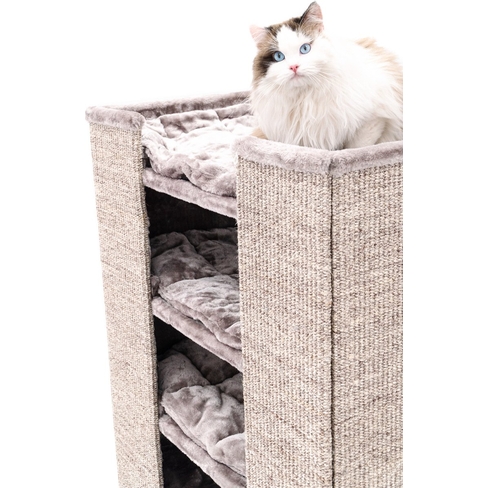 PETREBELS CHAMPIONS Only Pillar 117 Cappuccino