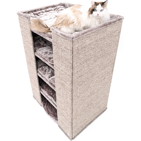 PETREBELS CHAMPIONS Only Pillar 117 Cappuccino