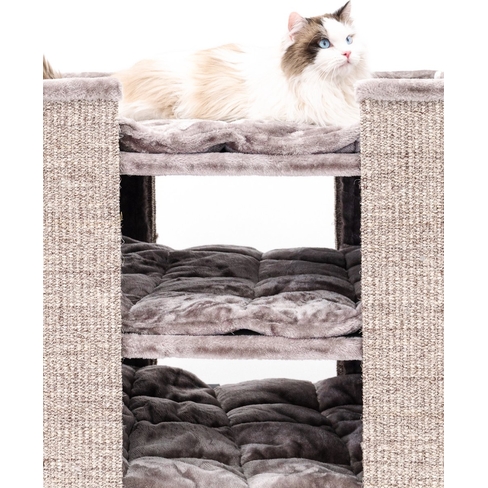 PETREBELS CHAMPIONS Only Pillar 117 Cappuccino