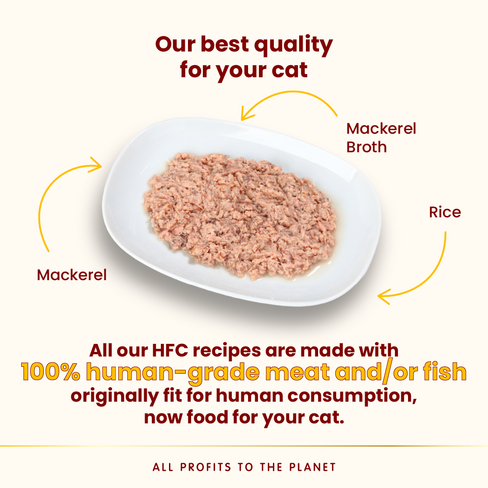 ALMO NATURE Cat HFC Highly Appetizing Atlantic Tuna