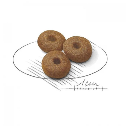 ROYAL CANIN Maxi Starter Mother & Babydog 1–2 months