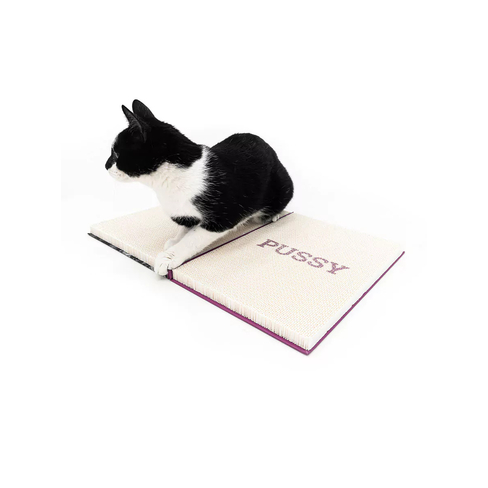 PR Scratch'n Rebels The Rebels Guide Purple