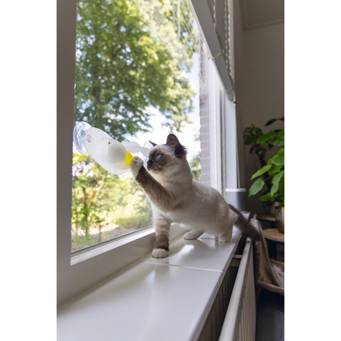 BZ jucarie pentru pisici Play Rail Windo