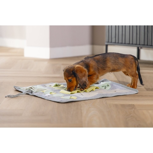 BZ jucărie interactivă Doeka