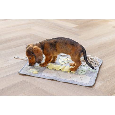 BZ jucărie interactivă Doeka