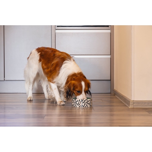 BZ castron din ceramica Mark Dog