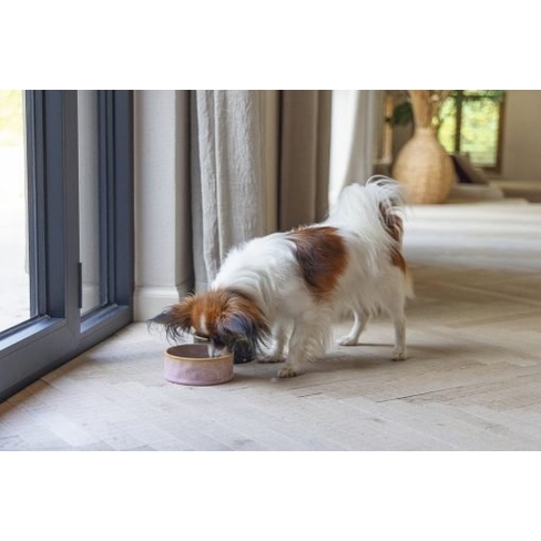 BZ миска керамическая Jace Pink