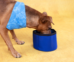 Bol răcoritor pentru apă de călătorie Cooling Bowl Fresk Nord