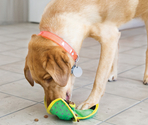 Jucarie Kong Ballistic Hide'n Treat Ball