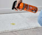 PetStandard Stain Remover