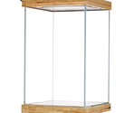 Selva Mini Terrarium