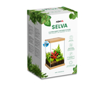 Selva Mini Terrarium