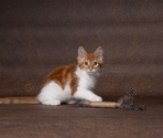 Игрушка для кошек Yutsa Stick with Feathers