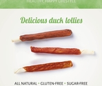 Antos Duck D'light Lollies