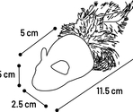 Jucarie pentru pisici Katti Mouse With Feathers