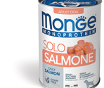 MONGE Dog Solo Pate Salmon