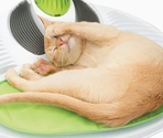Catit Senses Wellness Center – массажный комплекс для кошек с щётками и кошачьей мятой