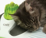 Catit Senses Wellness Center – массажный комплекс для кошек с щётками и кошачьей мятой