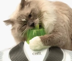 Catit Senses Wellness Center – массажный комплекс для кошек с щётками и кошачьей мятой