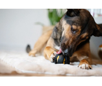 Zeus ChewChasers Treat Ball – minge interactivă pentru câini, cu recompense