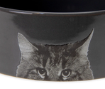 Bol ceramic pentru pisici cu decor