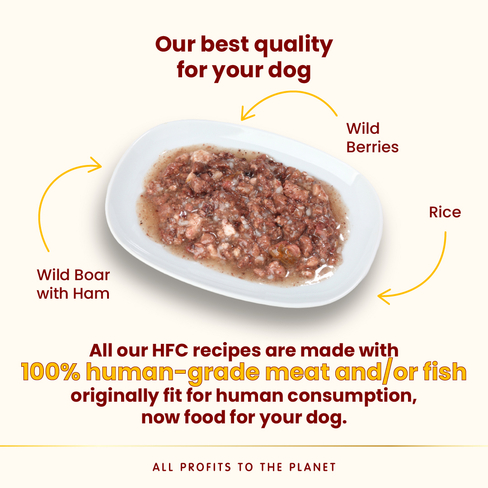 ALMO NATURE Dog HFC Can Natural Wild Boar with Ham and Wild Berries
