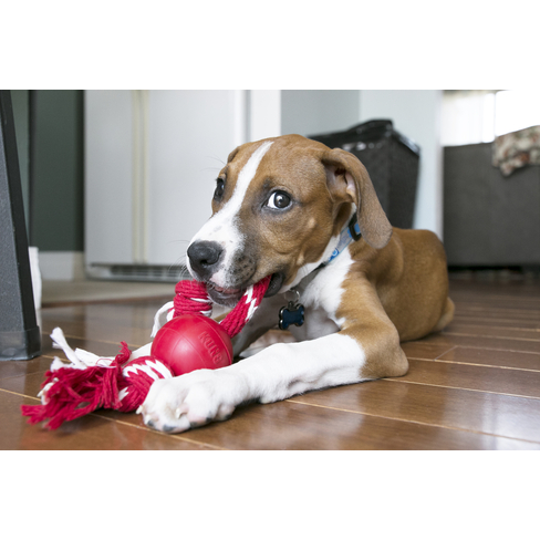 Игрушка Kong Ball with Rope Small