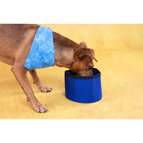 Bol răcoritor pentru apă de călătorie Cooling Bowl Fresk Nord