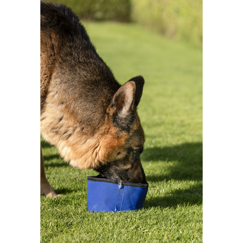 Bol răcoritor pentru apă de călătorie Cooling Bowl Fresk Nord