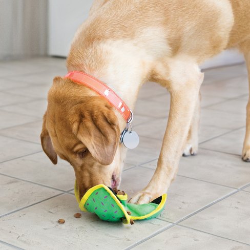 Jucarie Kong Ballistic Hide'n Treat Ball