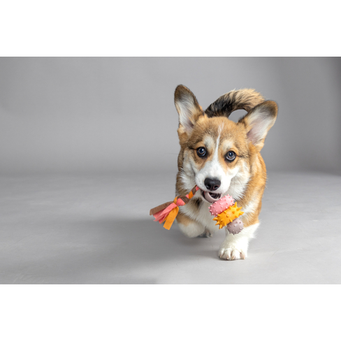 Игрушка резиновая Puppy Rings Taupe
