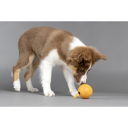 Мяч резиновый Puppy Rhea Treats Ball Ass.