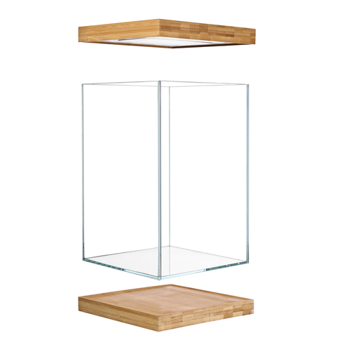 Selva Mini Terrarium