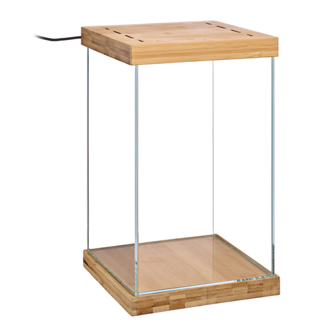 Selva Mini Terrarium