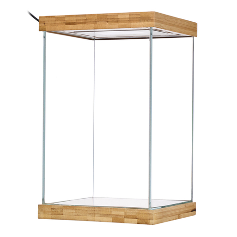 Selva Mini Terrarium