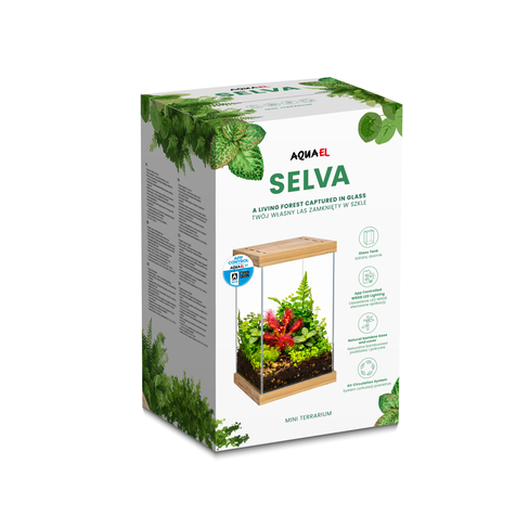 Selva Mini Terrarium