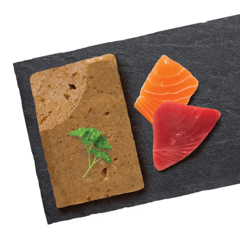 Catit Cuisine Ocean Fish Mousse with Tuna & Salmon