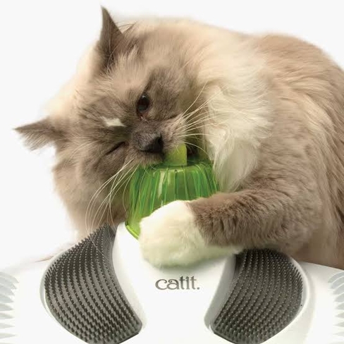 Catit Senses Wellness Center – массажный комплекс для кошек с щётками и кошачьей мятой