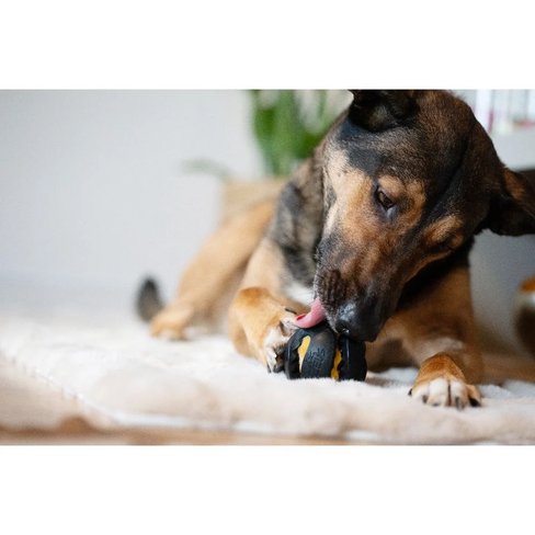 Zeus ChewChasers Treat Ball – minge interactivă pentru câini, cu recompense