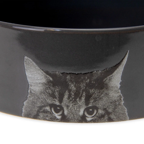 Bol ceramic pentru pisici cu decor