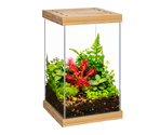 Selva Mini Terrarium