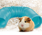 Tunel pentru rozătoare Flex Turquoise
