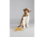 Поводок нейлон. PUPPY DOLLY OCHRE