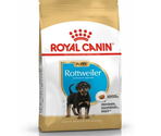 Royal Canin Rottweiler Puppy