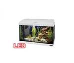 Аквариум CAPRI 50 LED