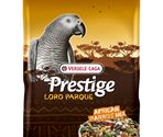 African Parrot Mix Loro Paraque