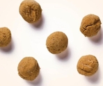 Antos Insecta Nibbles Cricket & Sweet Potato