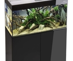 AQUAEL Аквариум GLOSSY 80 Black rect.
