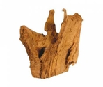AQUAEL Decor din lemn Mangrove Root 15-25